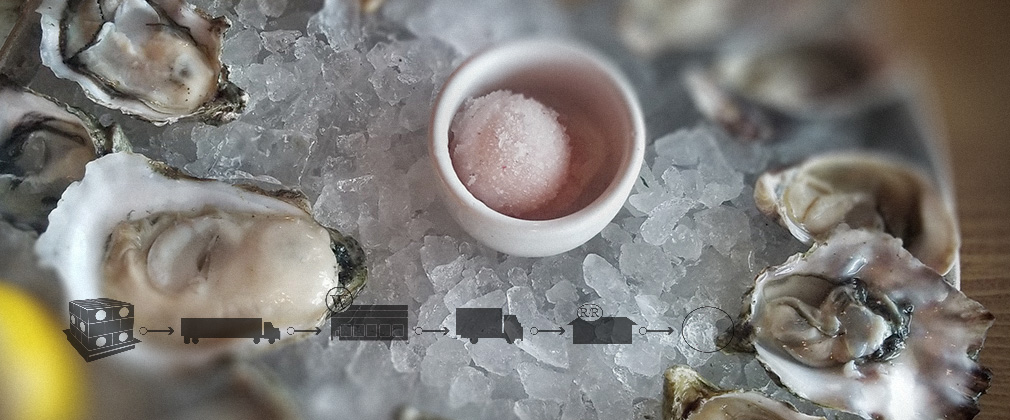 Supply Chains Play Valuable Role in Seafood Safety