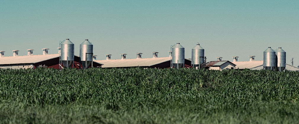 food production