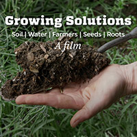 soil on the hand image