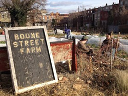 Boone street farm