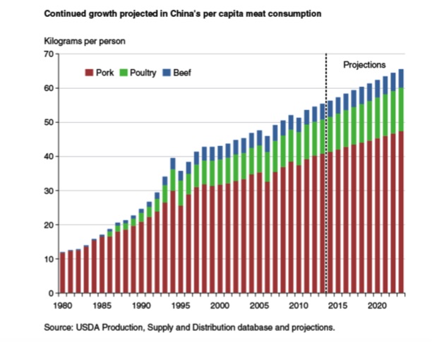 the future trend of chinese conji