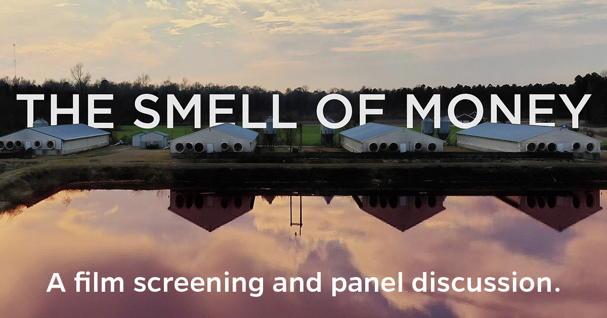 The smell of money banner